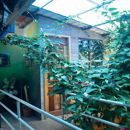 Hostal Los Farolitos Mindo Exterior photo