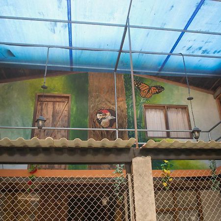 Hostal Los Farolitos Mindo Exterior photo