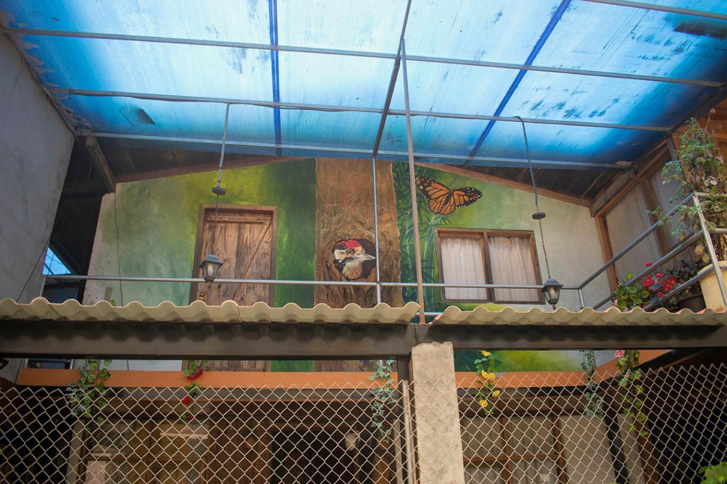 Hostal Los Farolitos Mindo Exterior photo
