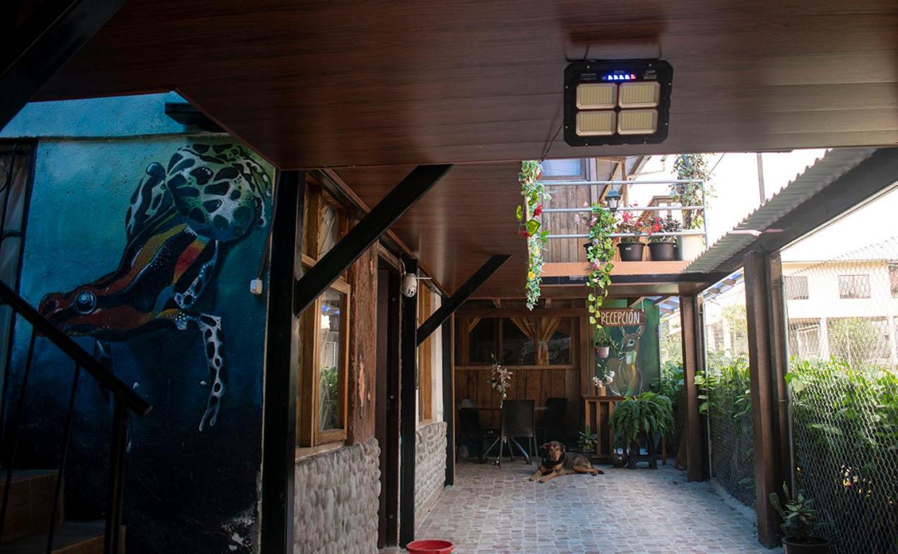Hostal Los Farolitos Mindo Exterior photo